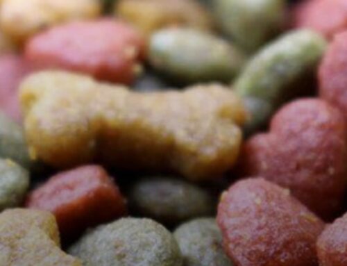 Is your dog food colored for your French Brittanys benefit or yours?