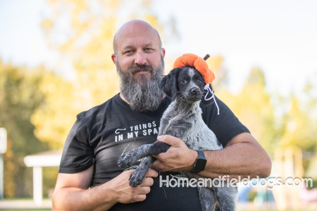 Photoshoot with a man and a black roan french brittany puppy
