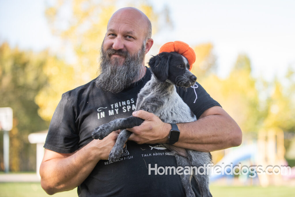 Photoshoot with a man and a black roan french brittany puppy