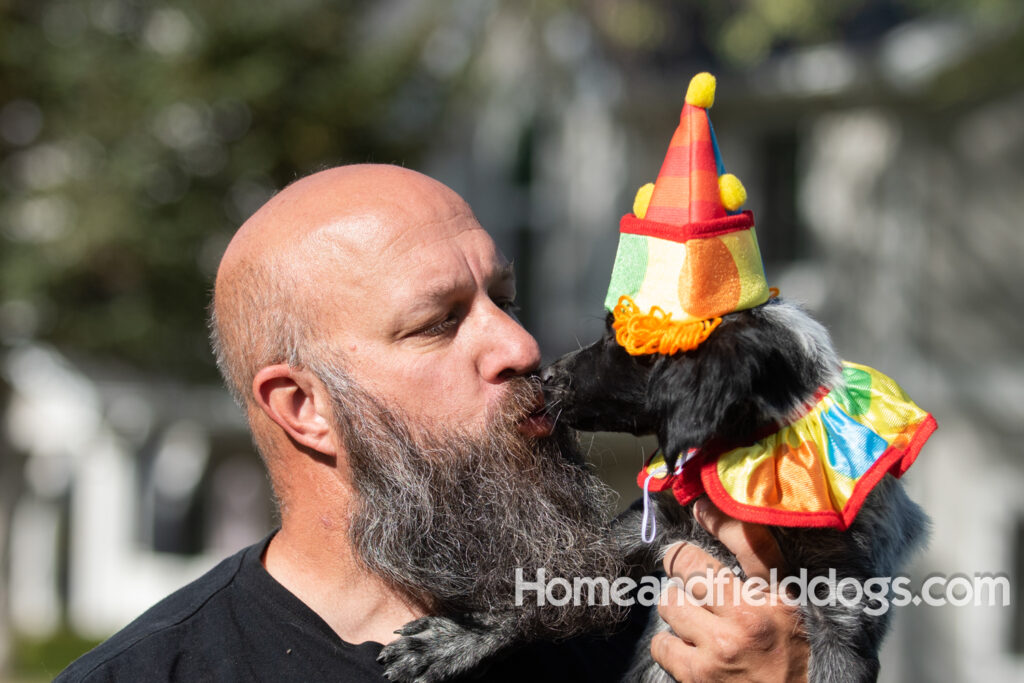 Photoshoot with a man and a black roan french brittany puppy
