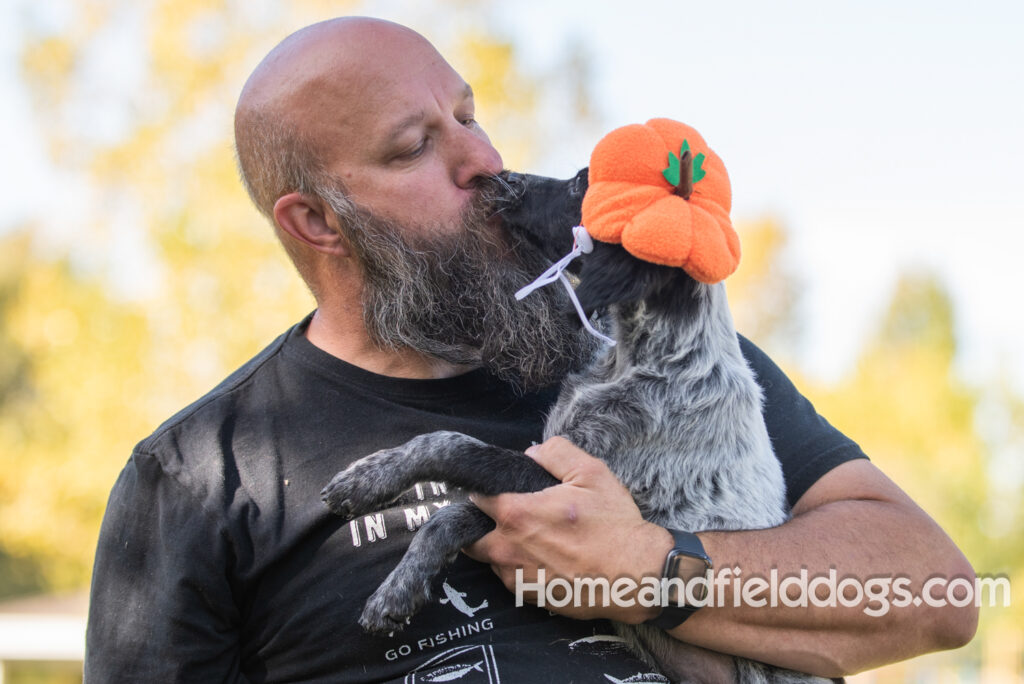 Photoshoot with a man and a black roan french brittany puppy