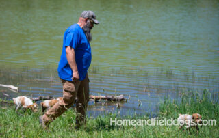 Pictures of French Brittany puppies for sale playing at the lake and catching fish
