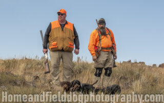 Hunting French Brittanys on sage Grouse